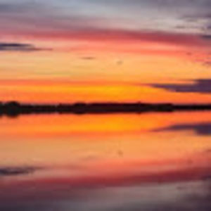 Meet your Posher, Mya